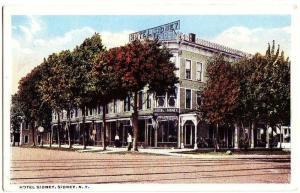 Old SIDNEY New York NY Postcard Hotel Sidney ~1910