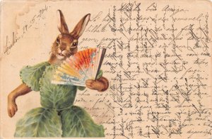 Animals 1904 Humanized Anthropomorphic Rabbit in Dress with Fan postcard C316
