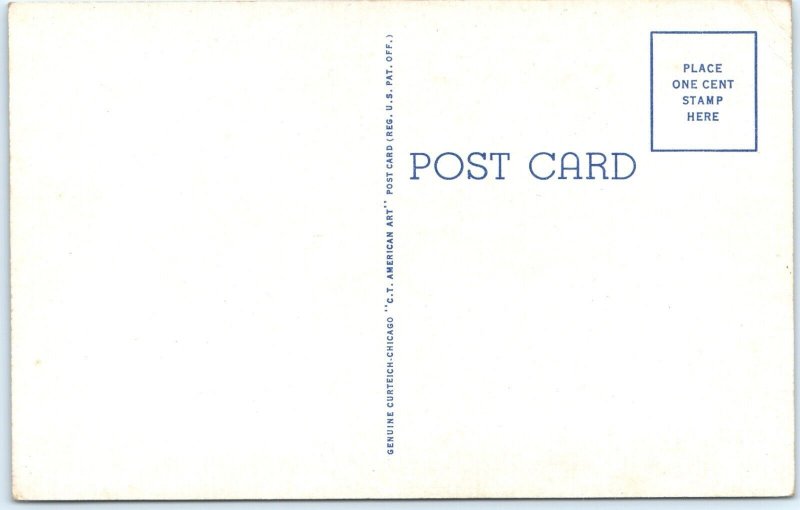 x8 LOT c1940s Nauvoo, IL Views Street Mississippi River ILL Linen PC Photos A146
