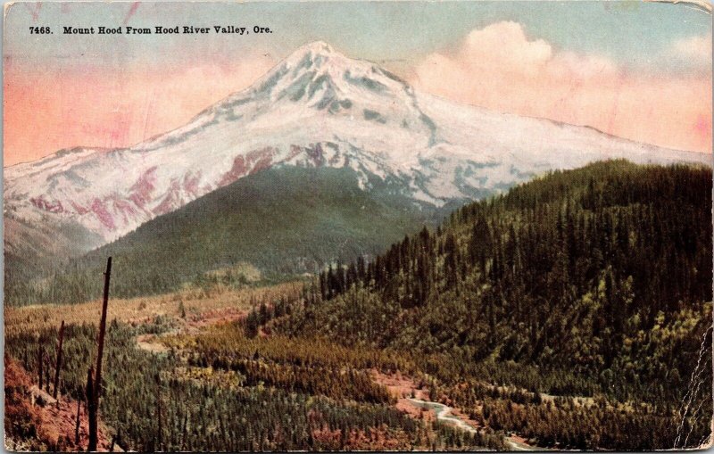 Mount Hood Hood River Valley Oregon Scenic Mountain Landscape DB Cancel Postcard 