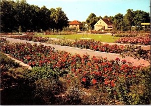 Scenic View Berlin Germany's Alt-Britz Rose Garden Photochrome 1960s Postcard