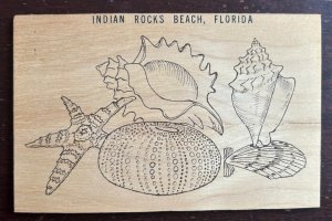 Indian Rocks Beach Florida FL~Sea Shells-Starfish~Wood Postcard