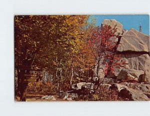 Postcard View in Rib Mountain State Park, Wausau, Wisconsin