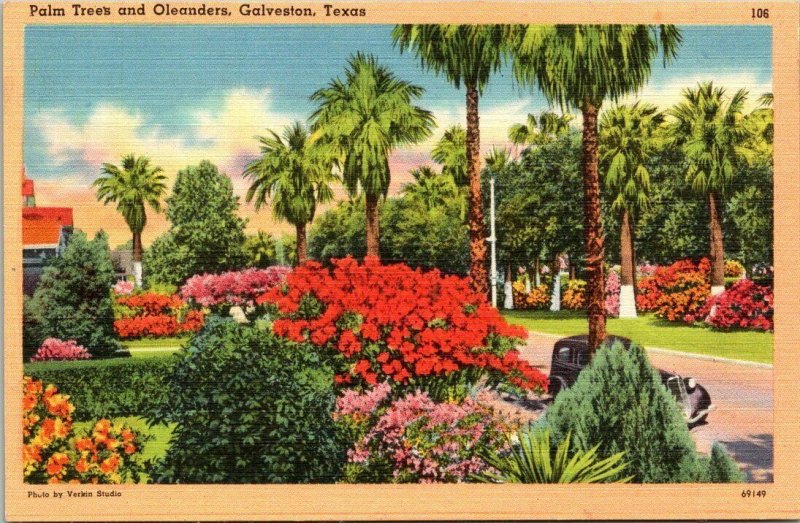 Postcard Palm Trees and Oleanders Flowers Galveston Texas Linen Unposted 1437