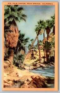 Vintage California Postcard - Palm Canyon - Palm Springs