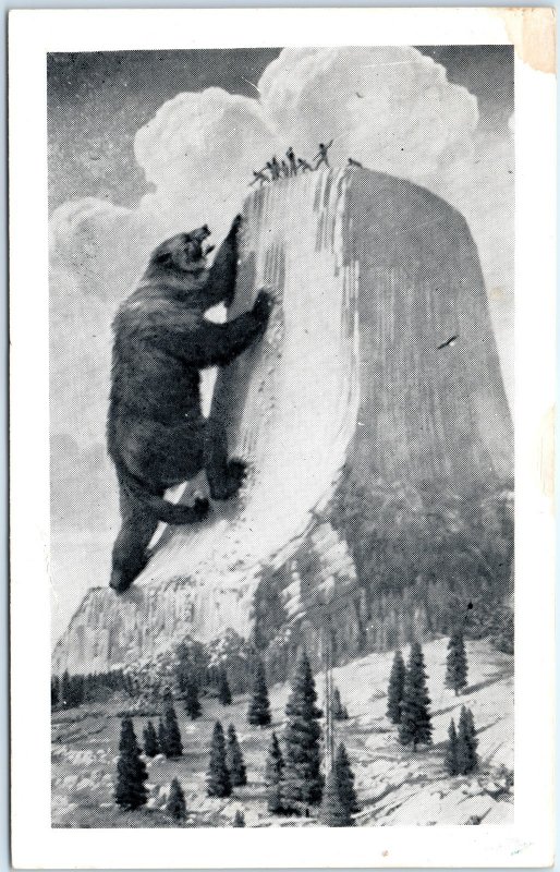 c1954 Devils Tower WY Legend Bear Native American Story History Chrome Lg PC M28