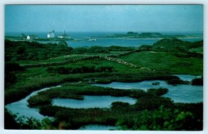 BLOCK ISLAND, Rhode Island RI~ COAST GUARD STATION from Champlin's Farm Postcard