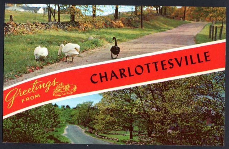 Virginia CHARLOTTESVILLE SplitView Greetings from Chrome