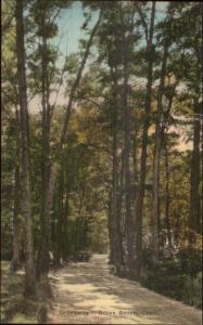 Grove Beach CT Groveway Hand Colored Postcard