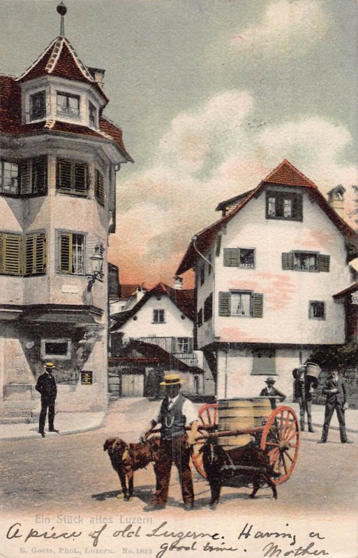 SWITZERLAND~EIN STUCK ALTES LUZERN-DOG MILK CART~1905 TINTED PHOTO POSTCARD