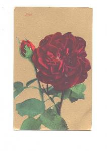 Red Rose, Flower Series Gold Background