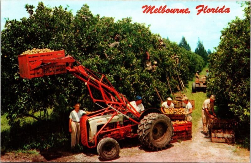 Melbourne Florida FL Citrus Harvest Tractor Postcard UNP VTG Koppel Unused