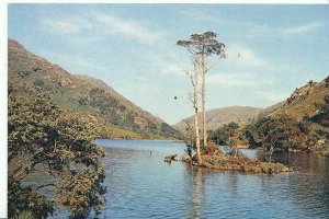 Scotland Postcard - Loch Eilt - Inverness-shire   AB142