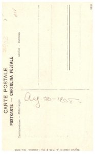 Dog  , Chien du Grand Saint bernard