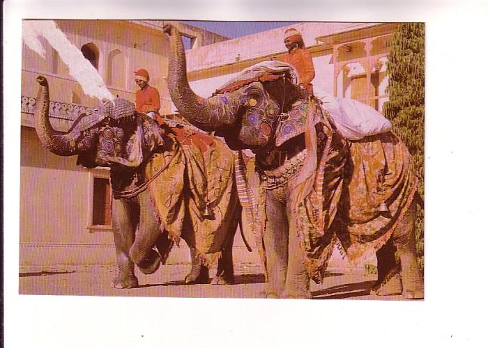 Men Riding Decorated Elephants, City Palace, Jaipur India