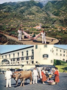 Hammock Riding at Pico dos Barcelos Madeira 2x Postcard s