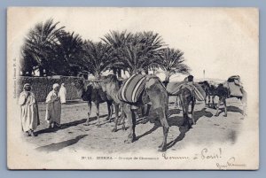 Algeria BISKARA Camel Parking lot postcard Mailed to Paris