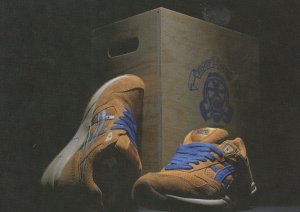 Adidas 2005 Carp Fish Tennis Trainers Shoes by Goldfish Bowl Postcard