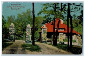 1910 Entrance Springdale Cemetery Exterior Peoria Illinois IL Vintage Postcard