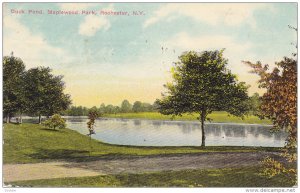 ROCHESTER , New York , PU-1910 ; Duck Pond , Maplewood Park