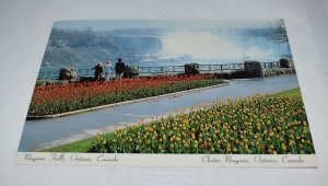 Canadian Horseshoe Falls Niagara Falls Canada Postcard Dexter 91282-D 40107501