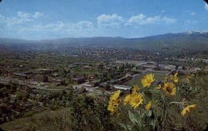 Montana State University in Missoula, Montana