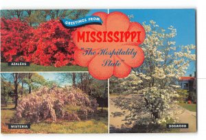 Mississippi MS Postcard 1972 The Hospitality State Various Flowers