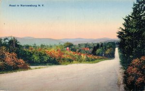 USA Road From Narrowsburg Vintage Postcard 07.93