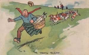 The Wrong Scent Tom Brown Old Dogs Rare Fox Hunting Comic Postcard