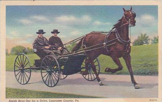 Pennsylvania Lancaster Amish Boys out For A Drive 1949