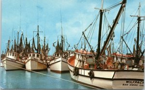 postcard FL The Shrimp Fleet, Key West - Wolfpack, Gay, Peggy Ann, Gene Ray