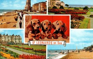 England St Leonards By The Sea Multi View