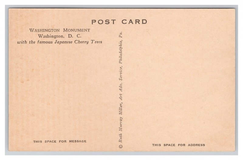 Washington D. C. Washington Monument Postcard