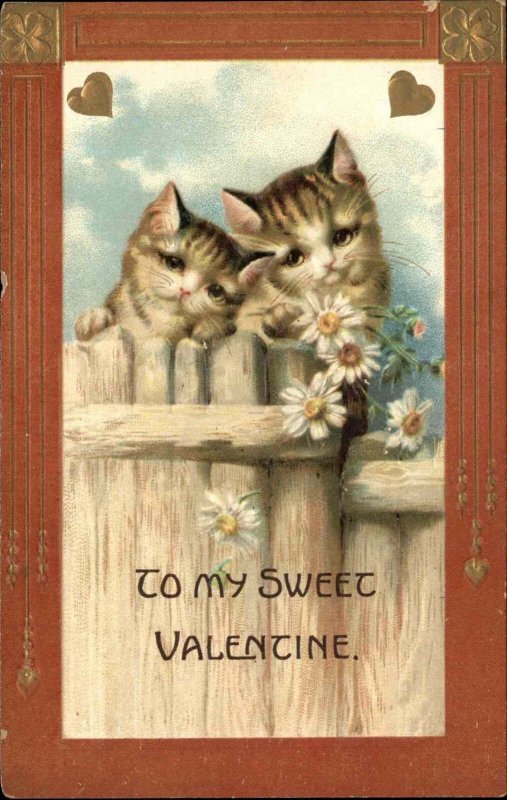 Kitty Cats in Love Valentine Heart Border c1910 Vintage Postcard