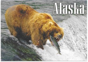 Alaska  unused. Brown Bear, Fishing.   Beautiful.   Very Nice.