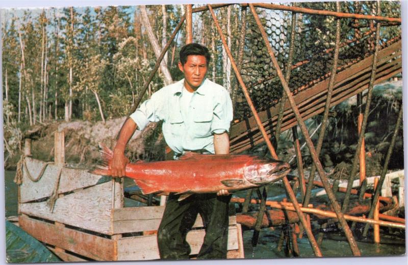 postcard Fish-wheel fishing at Fort Yukon, Alaska - man holding large fish