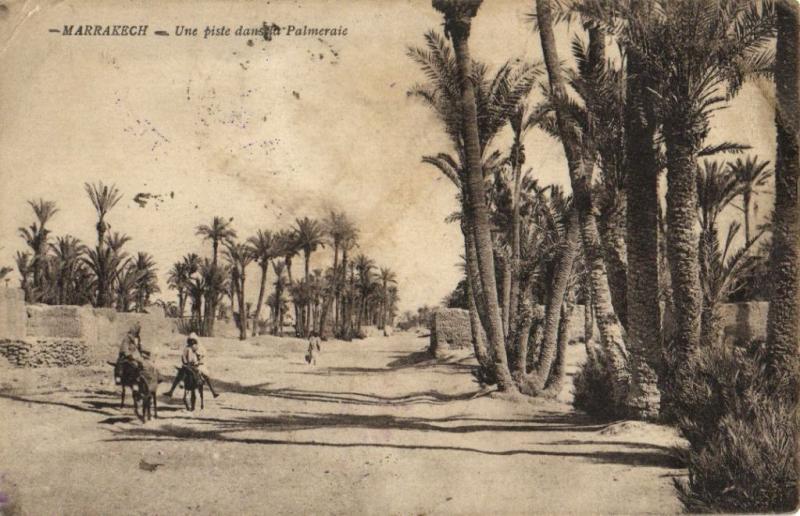 Maroc CPA Marrakech Une piste dans la Palmeraie (38481)