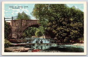 Allen's Creek Scene Rochester New York NY Bridge & Trees Attractions Postcard