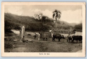 Caxias do Sul Brazil Postcard Carro de bol (Buffalo Carriage) 1923 Posted