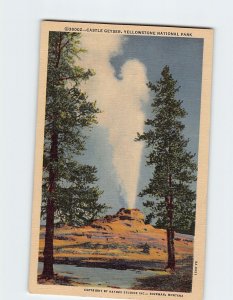 Postcard Castle Geyser, Yellowstone National Park, Wyoming