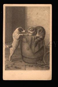 034048 JACK RUSSELL TERRIER & CAT. By HILL. Vintage