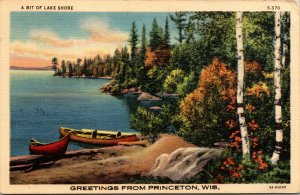 Vtg 1930s A Bit of Lake Shore Greetings from Princeton Wisconsin WI Postcard
