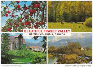 Canada Multi View Fraser Valley British Columbia