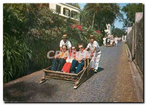 Postcard Modern Tipica Madeira Madeira