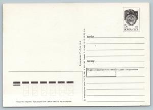 Squirrel and birds on a Tree branch Bullfinch New Year Russian Unposted postcard