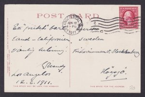 Postcard, United States, Picking Oranges