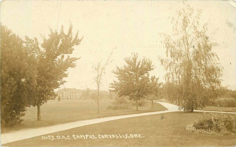 Corvallis Oregon OAC Campus #53 1913 RPPC Photo Postcard Patton 20-6572