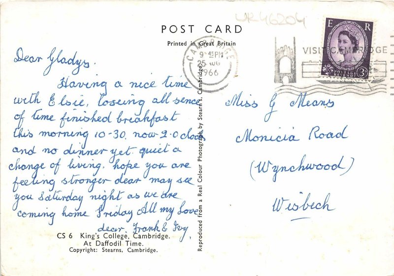 uk46204 daffodil time kings college cambridge  uk