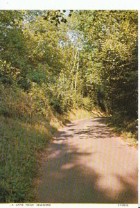 Hampshire Postcard - A Lane Near Selborne - Ref 14531A