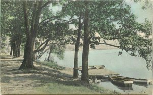 Aurora Illinois Lovers Lane Riverview Park hand colored C-1908 Postcard 20-1759